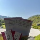 대운카서비스 | [일본] 요나고 아다치 미술관, 마쓰에성, 호리카와 유람선 후기