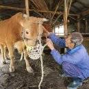 황고개농장 이미지