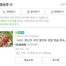 이일기