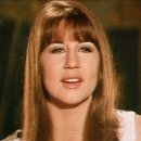 The seekers - When the stars begin to fall(1966) 이미지