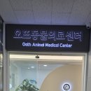 밀양대동물진료센터 | 강아지 설사로 인천 검단 불로동 동물병원 오뜨동물의료센터 진료 후기