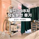 분당-65 | 분당차 임신 39주 3일 초산모, 진통 18시간 유도 분만 후기