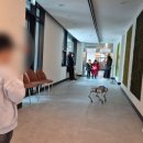 청곡초등학교 앞 이미지