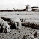 수원-1950 이미지