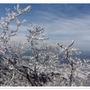 한라산풍경 이미지