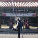 아라둘레 Daum카페