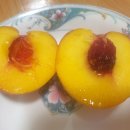 고려농원 이미지