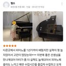 필레오피아노 이미지