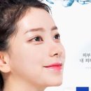 하쉬나 이미지