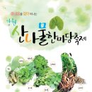 근화동 206 이미지