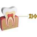 해마루치과의원 이미지