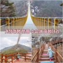 다사랑 이미지