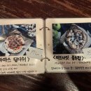 어니스트 식스티(honest 6T) 이미지