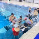 아쿠아데이 | 초등학생 생존수영 스노클링 교육 후기 원데이클래스 성남 아쿠아라인