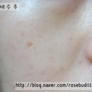 퍼펙트데이피트니스 | [비오템] 비오템 에이지 휘트니스 에센스