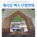 단양연화 | 단양연화 계곡 백숙, 단양사람 픽 나만 알고싶은 맛집