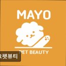 마요 펫 | {부천, 강아지, 고양이, 애견미용, 추천!) 마요펫뷰티 부천 마요펫뷰티, 스트레스 없는 미용