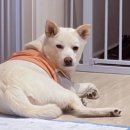 우정덴탈 이미지