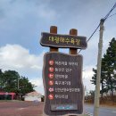 대광 | 겨울에 찾은 임자도 대광해수욕장 후기｜한적해서 더 좋았던 신안 겨울 바다