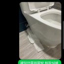 쑤기네풀