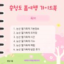 내동교회 | 2025 논산 딸기축제 기본정보 가수 주차 시간 체험 후기