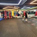 와일드복싱짐 안양관 이미지