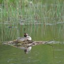 능내2리 마을회관 이미지