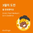 카페아너 네이버블로그