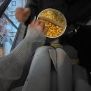 동태 조아 | 직장인 번아웃극복기 ing..1(부제: 그래도 살만했던 초기)