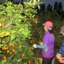 동서농장 이미지