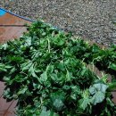 이슬펜션 이미지