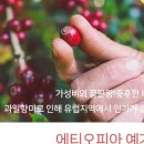 제이엠디 이미지