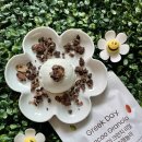 스위트바이오그릭데이 | 🥣 [그릭데이] 플레인 요거트 저당 스위트 : 알룰로스...은은한 단맛을 더한 맛있는 신상 후기