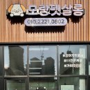 모랑펫살롱 이미지