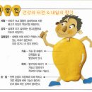 겨울철 체질별 이해와 유용한 음식 이미지