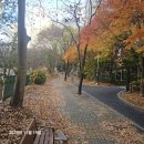 상암초교병설유치원 | 상암동 초품아 아파트