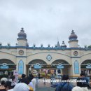 아마존월드 | 애버랜드 스마트줄서기, 주말 유료주차Tip, 판다월드, 아마존익스프레스 후기