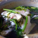 부엉이식당 Daum카페