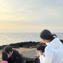 제주 웨딩스냅 블란도x포레스트랩 옒란도 솔직후기, 준비물, 팁