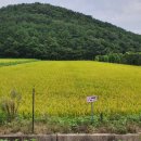 푸른들행정사무소 이미지