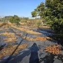 주식회사창출부동산중개법인 이미지