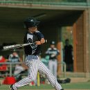 배나물야구장 이미지