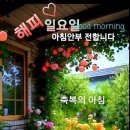 진가세소리 네이버블로그