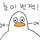 도곡메디칼약국 이미지
