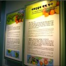 서귀포감귤박물관 이미지