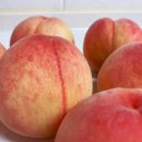 냠냠도시락 이미지