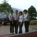 핑크 스파이더 이미지