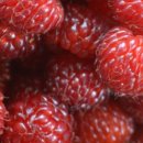 상동농업협동조합(농협) 이미지