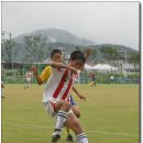 묵호초등학교 이미지