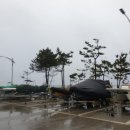 대진항민박&카페